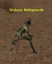 Walaya Bodyguards